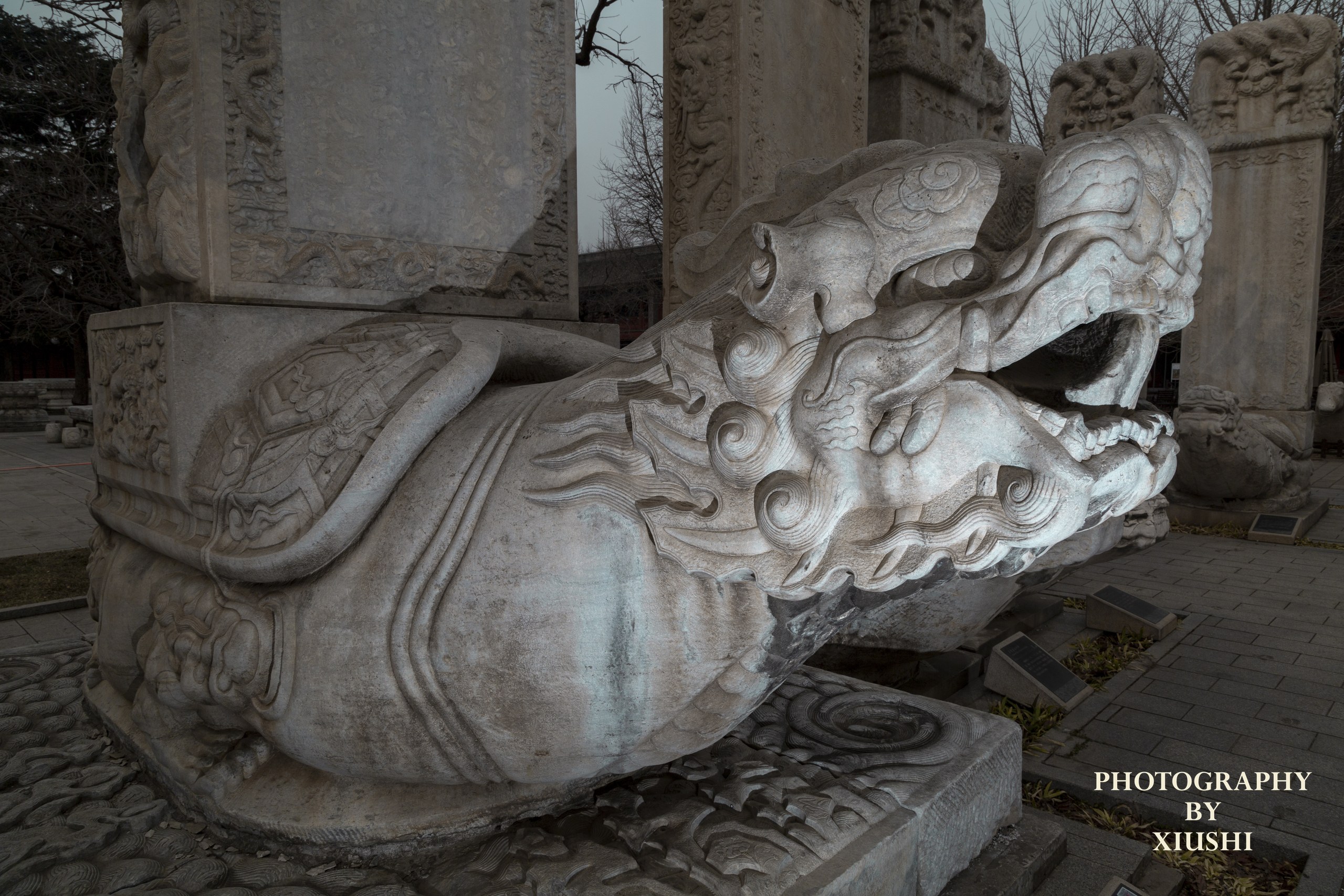 The Five Pagoda Temple 2